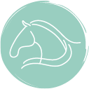 Icon für Hippotherapie – therapeutisches Reiten in Wels